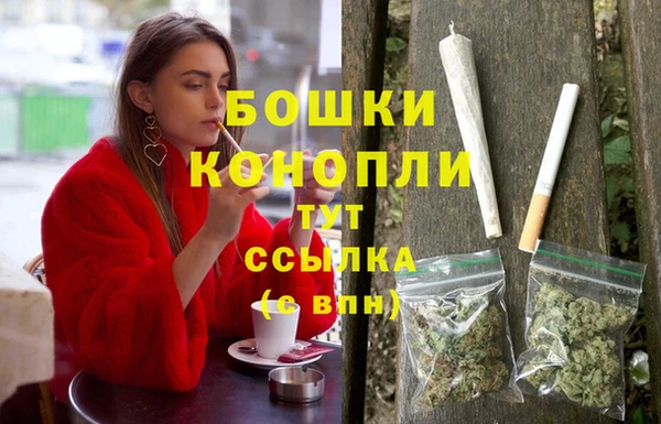 молекула духа Горно-Алтайск