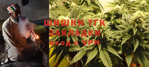 прущие крисы Вяземский