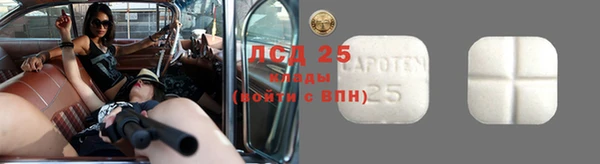 прущие крисы Вяземский