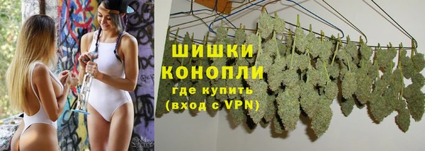прущие крисы Вяземский