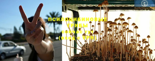 спиды Вязьма