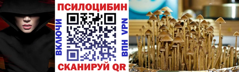 где продают Свирск Галлюциногенные грибы Magic Shrooms